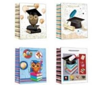 Opakowanie Torebka prezentowa (12szt) Duża