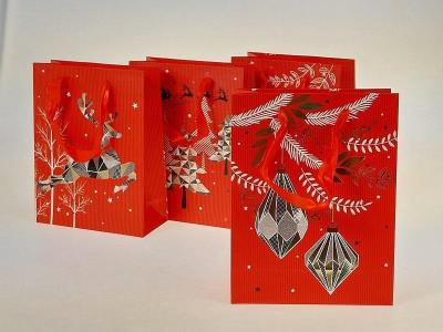 Opakowanie Torebka prezentowa 23x18x8cm MIX