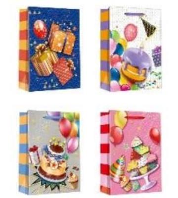 Opakowanie Torebka prezentowa 26x32cm (12szt)