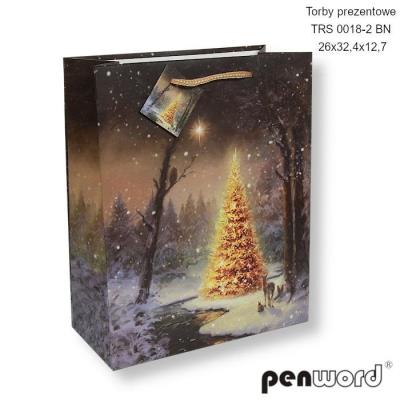 Opakowanie Torebka prezentowa BN 26x32.4x12.7cm
