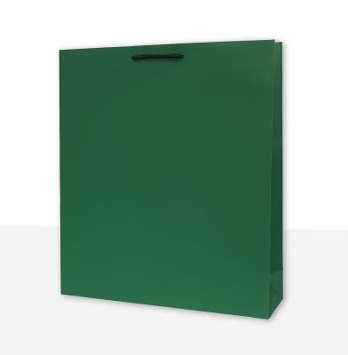 Opakowanie Torebka prezentowa jednobarwna T9 zielona 10 sztuk