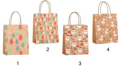 Opakowanie Torebka upominkowa eko HB 8286 S