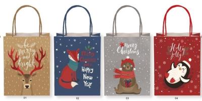 Opakowanie Torebka upominkowa HB 8827 M