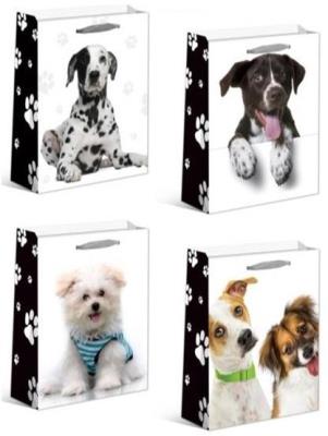 Opakowanie Torebka upominkowa JYWK065 L