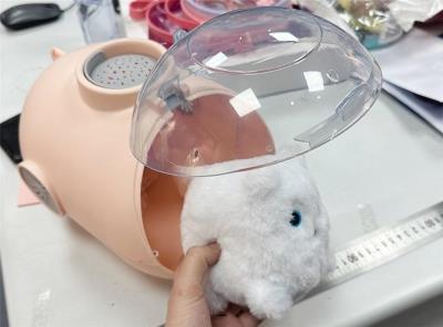 Opakowanie Transporter z małym kotkiem