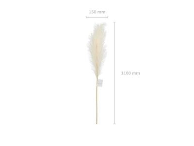 Opakowanie Trawa pampasowa sztuczna jasno kremowa 15x110cm