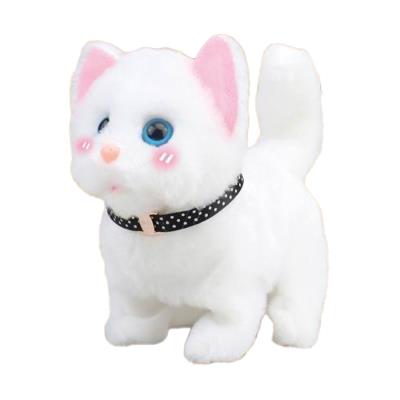 Opakowanie Twój pupilek Kotek biały