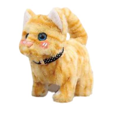 Opakowanie Twój pupilek Kotek brązowy