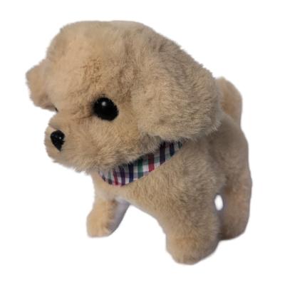 Opakowanie Twój pupilek Piesek beżowy