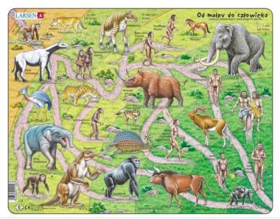 Opakowanie Układanka Droga od małpy do człowieka 83 elementy