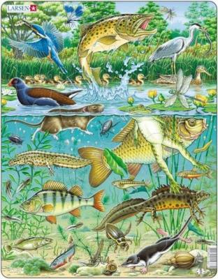 Opakowanie Układanka Europejski ekosystem stawów wodnych 50 elementów