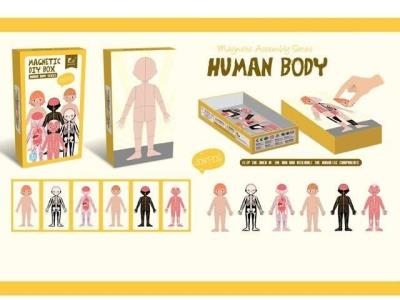 Opakowanie Układanka magnetyczna - ciało człowieka