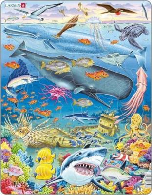 Opakowanie Układanka Rafa wielorybów 66 elementów