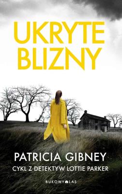 Ukryte blizny. Autor: Patricia Gibney. SmakLiter.pl Okładka książki Ukryte blizny