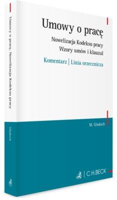 Okładka książki Umowy o pracę. Nowelizacja Kodeksu pracy