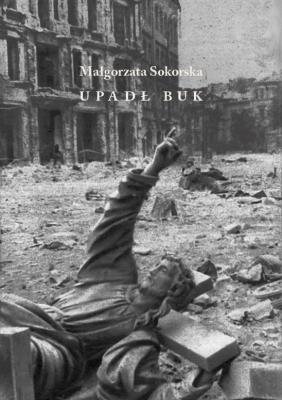 Okładka książki Upadł buk