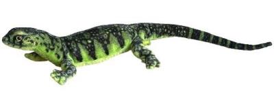 Opakowanie Waran zielony 80cm