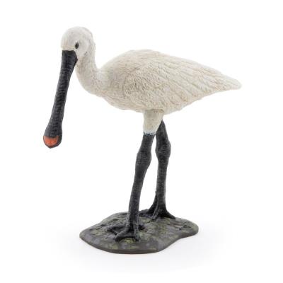 Opakowanie Warzęcha zwyczajna