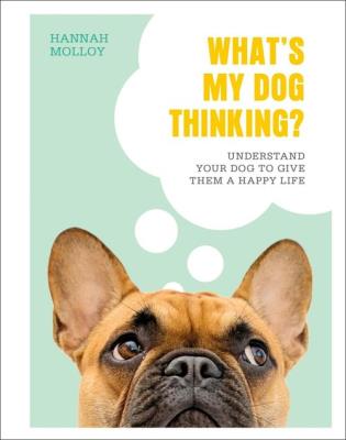 What's My Dog Thinking?. Autor: Molloy Hannah. SmakLiter.pl Okładka książki What's My Dog Thinking?