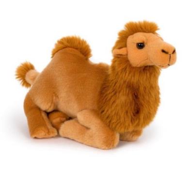 Opakowanie Wielbłąd 30cm