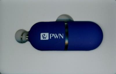 Opakowanie Wielki słownik języka polskiego PWN ze słownikiem wyrazów bliskoznacznych Pendrive