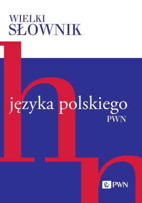 Okładka książki Wielki słownik języka polskiego. Tom 2