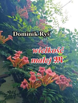 Wielkość małej m. Autor: Dominik Ryś. SmakLiter.pl Okładka książki Wielkość małej m