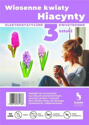 Opakowanie Wiosenne kwiaty Hiacynty 3szt