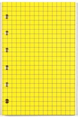 Opakowanie Wkład do organizera A5/kratka żółta ANTRA