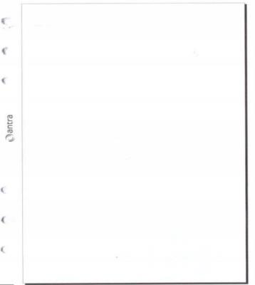 Opakowanie Wkład do organizera ST/czysta biała ANTRA