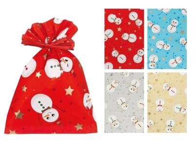 Opakowanie Worek BN 25x40cm Crazy (100szt)