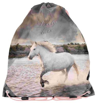 Opakowanie Worek na buty Horse PP22HR-712 PASO