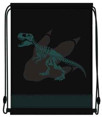 Opakowanie Worek szkolny SSC241 Dinozaur czarny STRIGO