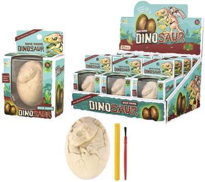 Opakowanie Wykopaliska paleontolog jajo dinozaura