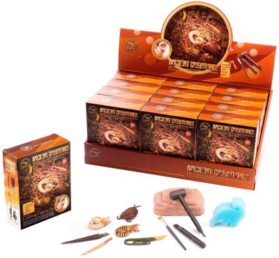 Opakowanie Wykopaliska paleontolog prehistoryczne skorupiaki