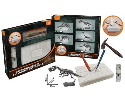 Opakowanie Wykopaliska paleontolog szkielet dino