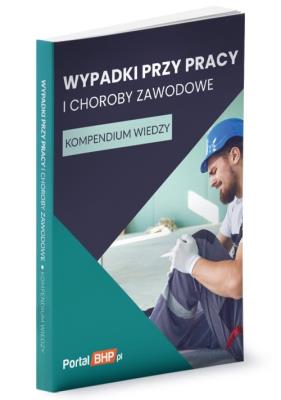 Opakowanie Wypadki przy pracy i choroby zawodowe Kompendium wiedzy