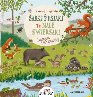 Żabki i psiaki Te małe zwierzaki. Autor: Schumann Sibylle. SmakLiter.pl Okładka książki Żabki i psiaki Te małe zwierzaki
