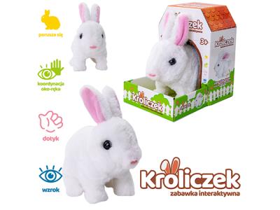 Opakowanie Zajączek na baterie