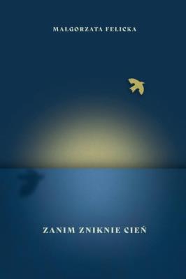 Zanim zniknie cień. Autor: Felicka Małgorzata. SmakLiter.pl Okładka książki Zanim zniknie cień