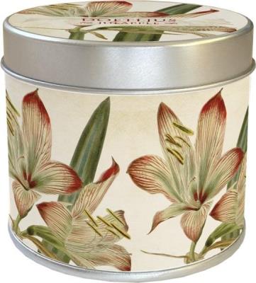 Opakowanie Zapachowa świeczka 202 - amarylis - zapach jabłko