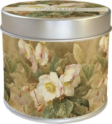 Opakowanie Zapachowa świeczka 203 - ciemiernik zapach jabłko