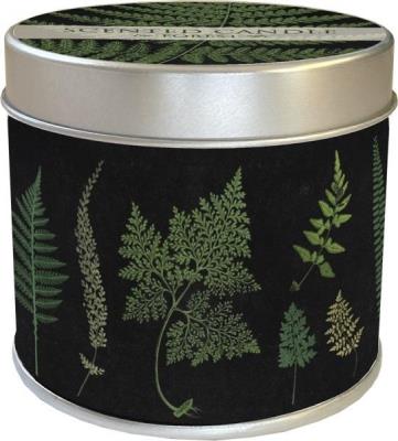 Opakowanie Zapachowa świeczka 98 - paproć - zapach lasu