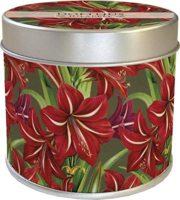 Opakowanie Zapachowa świeczka jabłko Święta Bożego Narodzenia