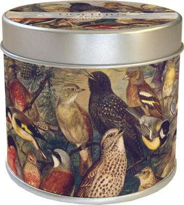 Zapachowa świeczka ptaki - zapach leśny. Wydawca: Skona Ting. SmakLiter.pl Opakowanie Zapachowa świeczka ptaki - zapach leśny