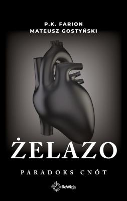 Okładka książki Żelazo. Paradoks cnót. Tom 2