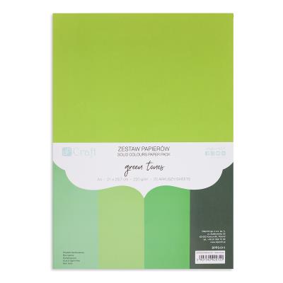 Zestaw papierów A4 Green Tones 220g  20 ark.. Wydawca: DP CRAFT. SmakLiter.pl Opakowanie Zestaw papierów A4 Green Tones 220g  20 ark.