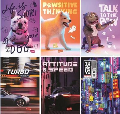 Zeszyt A4/32K kratka Basic (10szt) MAR MAR. Wydawca: GDD. SmakLiter.pl Opakowanie Zeszyt A4/32K kratka Basic (10szt) MAR MAR