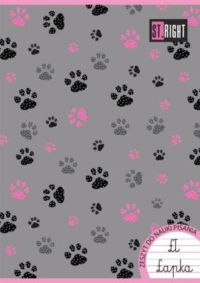 Opakowanie Zeszyt A4 w linie podwójną dwukolorową 32 kartki 15 sztuk