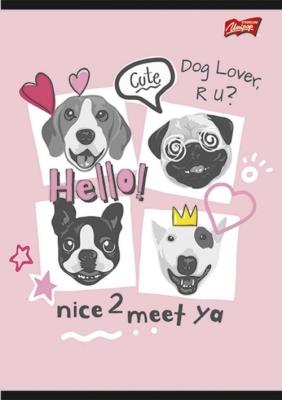 Opakowanie Zeszyt A4  w trzy linie 32 kartki 15 sztuk